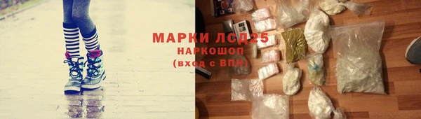 сатива Дмитриев