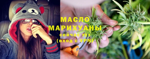 мдпв Гусь-Хрустальный