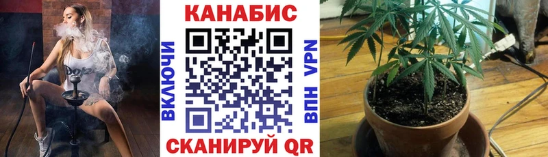 Бошки марихуана MAZAR  Верещагино 